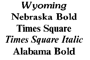 block of different styles of text
