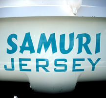 Servicemaster Clean Custom Van Lettering and Graphics