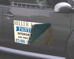 picture of a magnetic sign peeling off a vehicle. Our magnetic signs do not damage your cars paint job