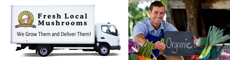 Example of box-truck lettering and graphics Example of box-truck lettering and graphics